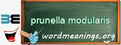 WordMeaning blackboard for prunella modularis